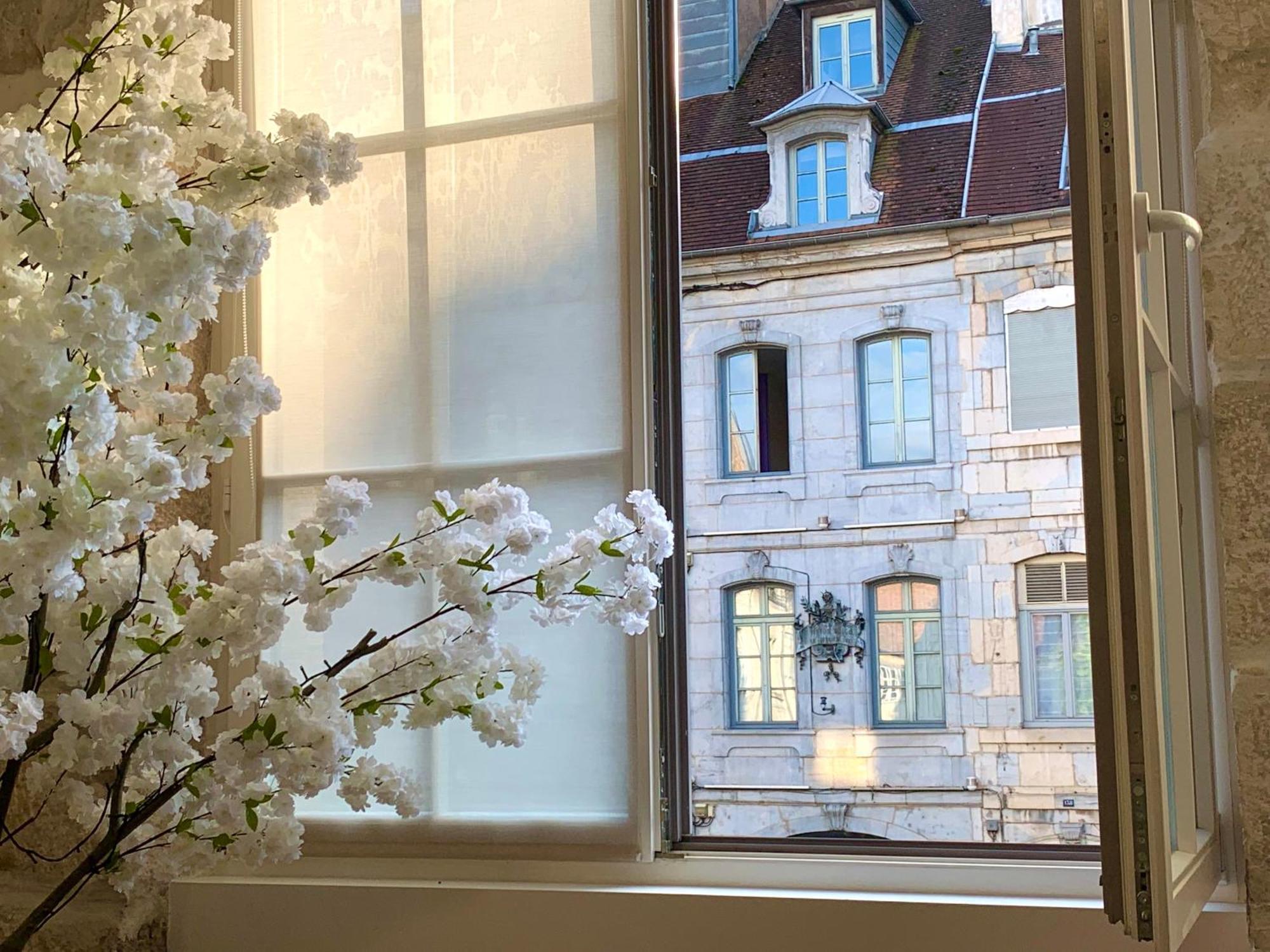 Les Fabuleux Appartements Du Coeur De Ville - Place Victor Hugo Besancon Luaran gambar